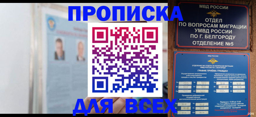 прописка для школы в Химках